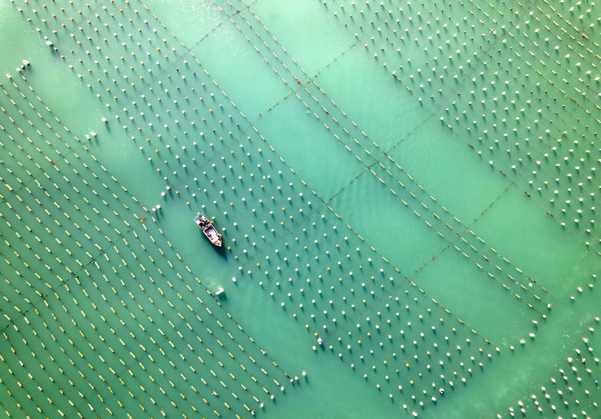 fishing nets and a boat on the water